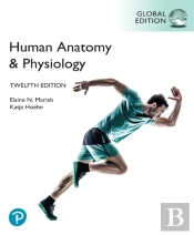 Human Anatomy & Physiology, Global Edition