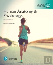 Human Anatomy & Physiology, Global Edition