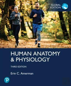 Bertrand.pt - Human Anatomy & Physiology, Global Edition