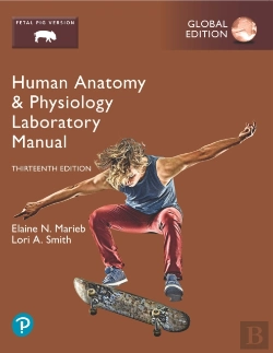 Bertrand.pt - Human Anatomy & Physiology Laboratory Manual, Fetal Pig Version, Global Edition