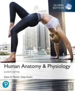Bertrand.pt - Human Anatomy & Physiology Plus Pearson Masteringanatomy & Physiology With Pearson Etext, Global Edition