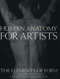 Human Anatomy For Artists