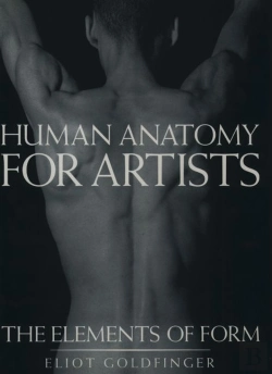 Bertrand.pt - Human Anatomy For Artists