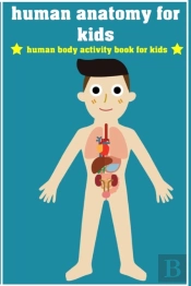 Human Anatomy For Kids