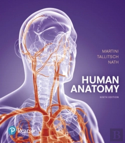 Bertrand.pt - Human Anatomy