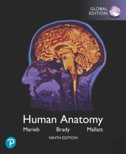 Bertrand.pt - Human Anatomy, Global Edition