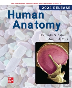 Bertrand.pt - Human Anatomy Ise