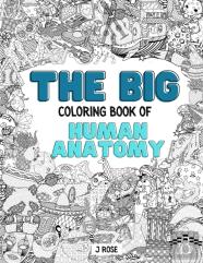 Human Anatomy