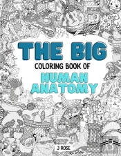 Human Anatomy