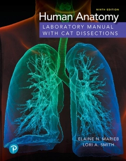 Bertrand.pt - Human Anatomy Laboratory Manual With Cat Dissections
