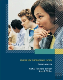 Bertrand.pt - Human Anatomy