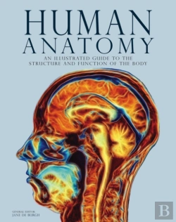 Bertrand.pt - Human Anatomy