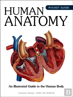 Bertrand.pt - Human Anatomy