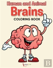 Human And Animal Brains Coloring Book