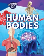 Human Bodies