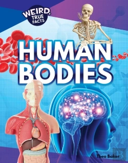 Bertrand.pt - Human Bodies