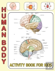 Human Body Activity Book For Kids