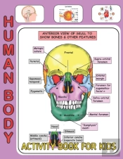 Human Body Activity Book For Kids