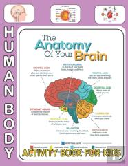 Human Body Activity Book For Kids