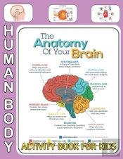 Human Body Activity Book For Kids