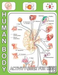 Human Body Activity Book For Kids