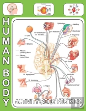 Human Body Activity Book For Kids