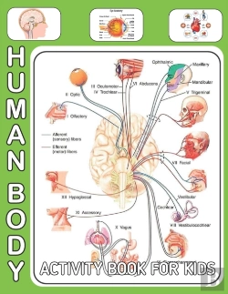 Bertrand.pt - Human Body Activity Book For Kids