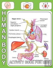 Human Body Activity Book For Kids