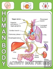 Human Body Activity Book For Kids