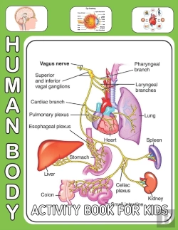 Bertrand.pt - Human Body Activity Book For Kids