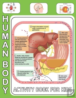 Bertrand.pt - Human Body Activity Book For Kids