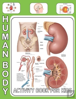 Bertrand.pt - Human Body Activity Book For Kids