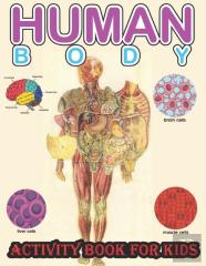 Human Body Activity Book For Kids