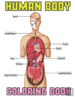 Bertrand.pt - Human Body Coloring Book