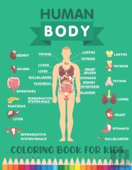 Human Body Coloring Book For Kids