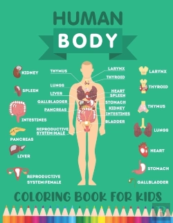 Bertrand.pt - Human Body Coloring Book For Kids
