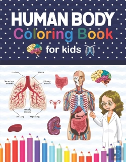 Bertrand.pt - Human Body Coloring Book For Kids