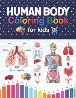 Bertrand.pt - Human Body Coloring Book For Kids