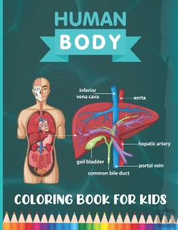 Bertrand.pt - Human Body Coloring Book For Kids