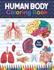 Human Body Coloring Book For Kids