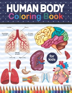 Bertrand.pt - Human Body Coloring Book For Kids