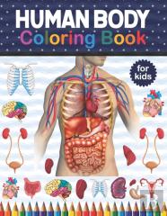 Human Body Coloring Book For Kids