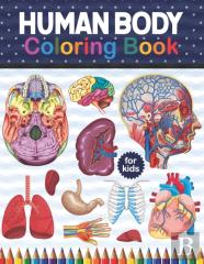 Human Body Coloring Book For Kids