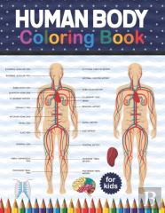 Human Body Coloring Book For Kids