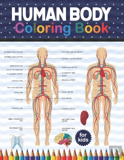 Bertrand.pt - Human Body Coloring Book For Kids