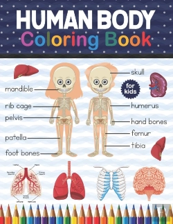 Bertrand.pt - Human Body Coloring Book For Kids