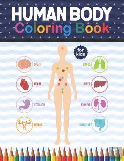 Bertrand.pt - Human Body Coloring Book For Kids