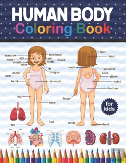 Bertrand.pt - Human Body Coloring Book For Kids