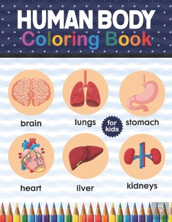 Bertrand.pt - Human Body Coloring Book For Kids