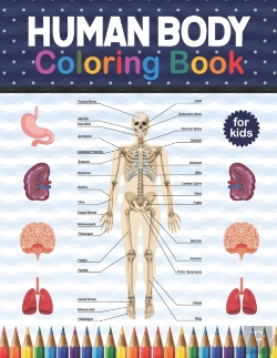Bertrand.pt - Human Body Coloring Book For Kids